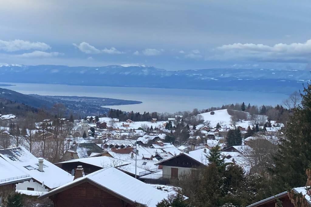 Duplex En Station Vue Sur Lac Leman Thollon-les-Memises Екстериор снимка