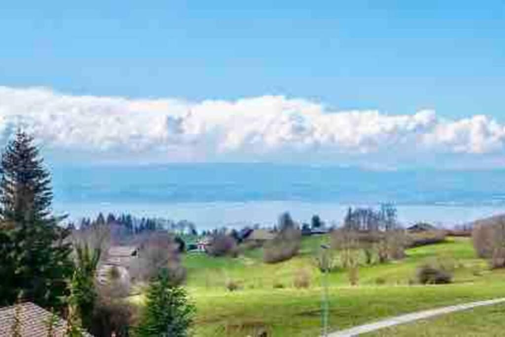 Duplex En Station Vue Sur Lac Leman Thollon-les-Memises Екстериор снимка