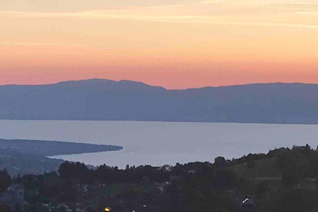 Duplex En Station Vue Sur Lac Leman Thollon-les-Memises Екстериор снимка