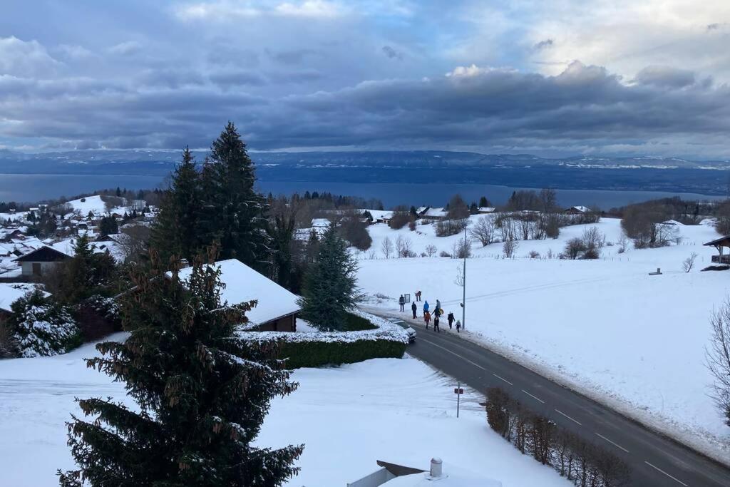 Duplex En Station Vue Sur Lac Leman Thollon-les-Memises Екстериор снимка