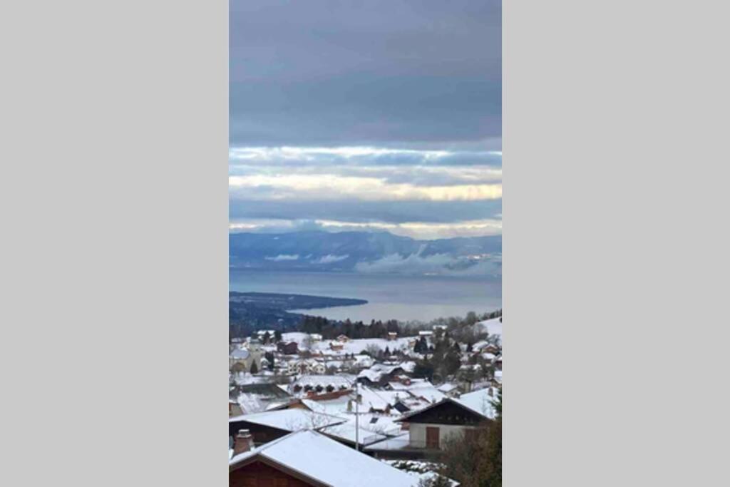 Duplex En Station Vue Sur Lac Leman Thollon-les-Memises Екстериор снимка