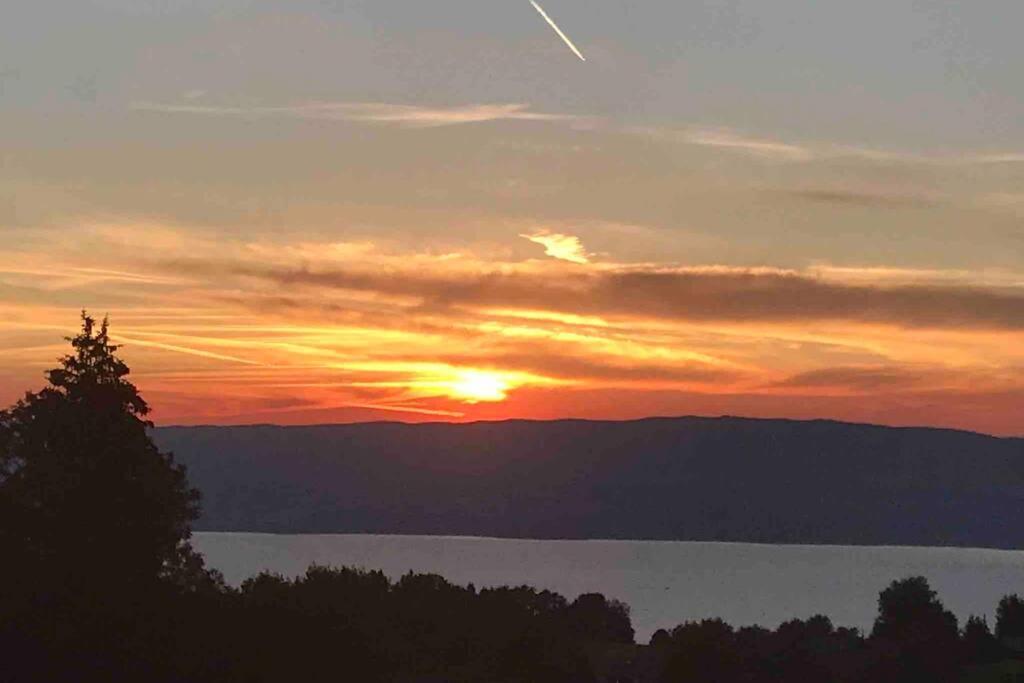 Duplex En Station Vue Sur Lac Leman Thollon-les-Memises Екстериор снимка