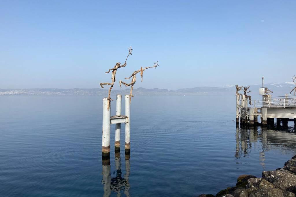 Duplex En Station Vue Sur Lac Leman Thollon-les-Memises Екстериор снимка