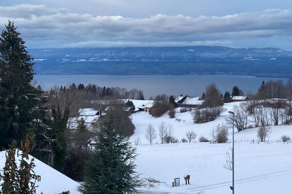 Duplex En Station Vue Sur Lac Leman Thollon-les-Memises Екстериор снимка