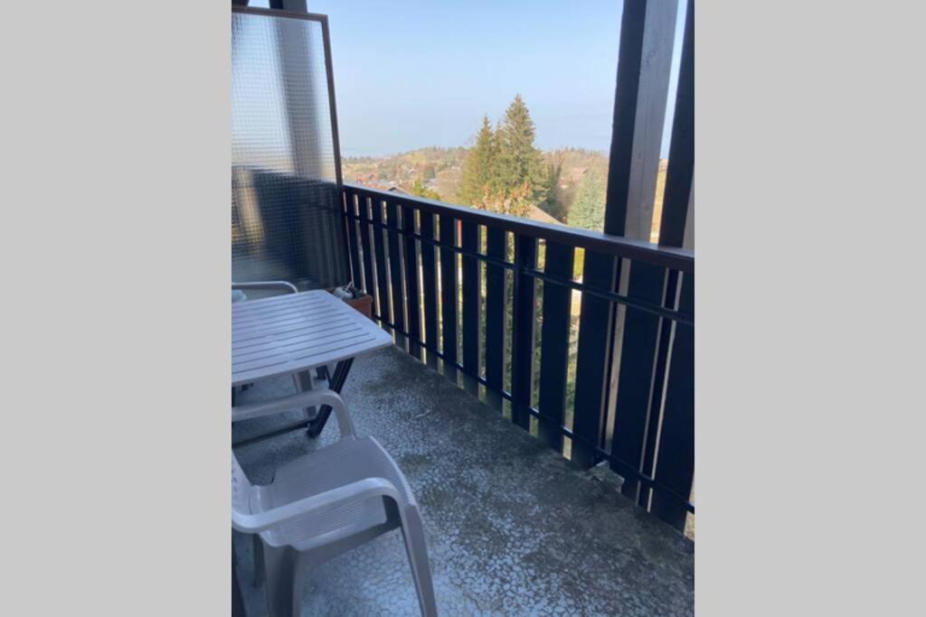 Duplex En Station Vue Sur Lac Leman Thollon-les-Memises Екстериор снимка